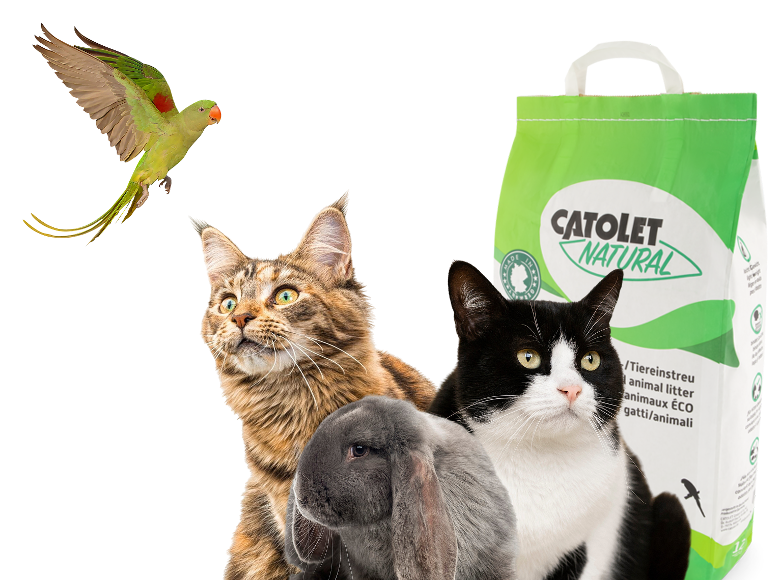 Catolet